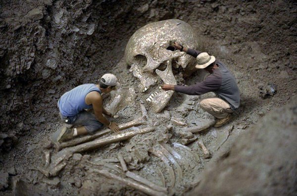 Найдена раса Атлантов: Археологи откопали скелет 5-метрового великана в Сибири