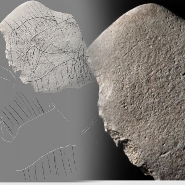 Во Франции обнаружили древний камень с изображением «безголовой лошади»