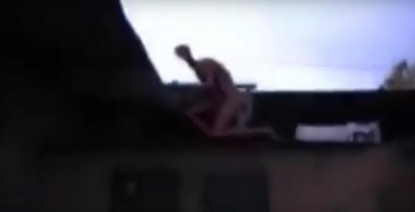 Голый марафонец с Нибиру! Бегающий по крышам безумный пришелец обнаружен в Подмосковье