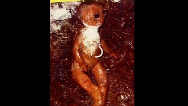 Отец пришелец – горе в семье: В Якутии родился ребёнок-урод с инопланетными генами