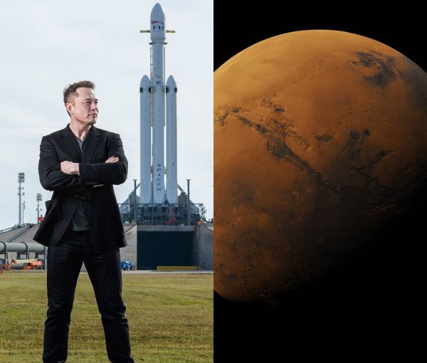 Илон Маск перепутал Луну с Марсом: «Гения» XXI века высмеяли за незнание планет