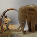 В Якутии найден скелет мамонта с уникальной отметкой на бивнях