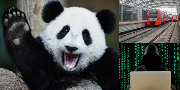 Panda снова в деле: Хакеры заразили вирусом сайт МКЖД