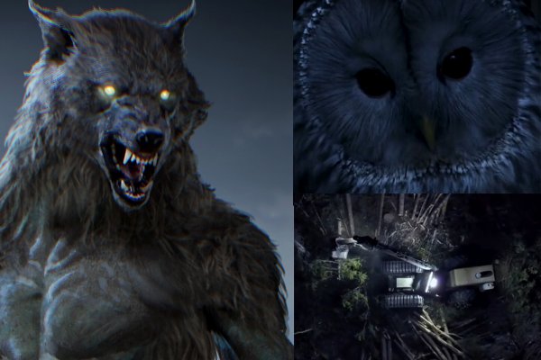 Создатели «Ведьмака» готовят новую игру про оборотня Werewolf: The Apocalypse – Heart of the Forest